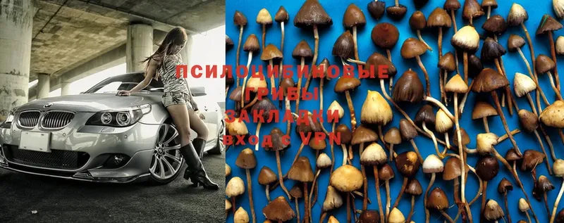 Псилоцибиновые грибы Psilocybe  гидра зеркало  Гуково 